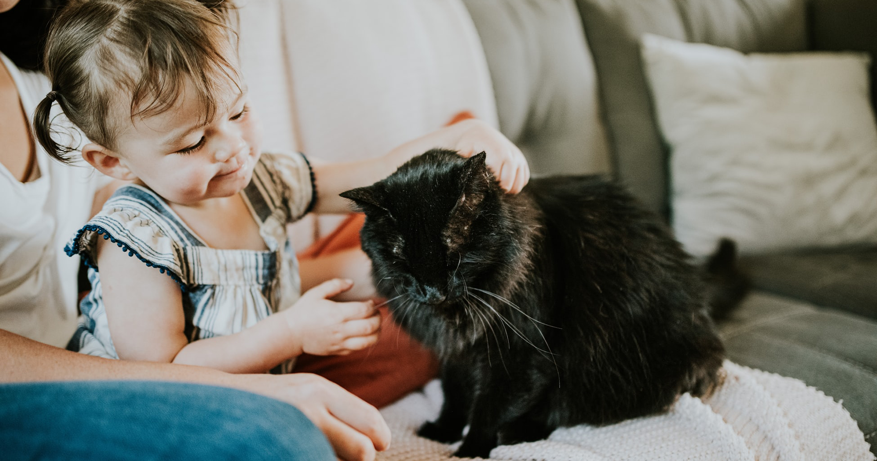 9 Reasons Why Welcoming A Pet In Your Home Will Be Good For Your Toddler