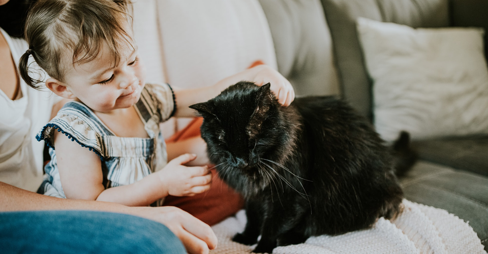 9 Reasons Why Welcoming A Pet In Your Home Will Be Good For Your Toddler